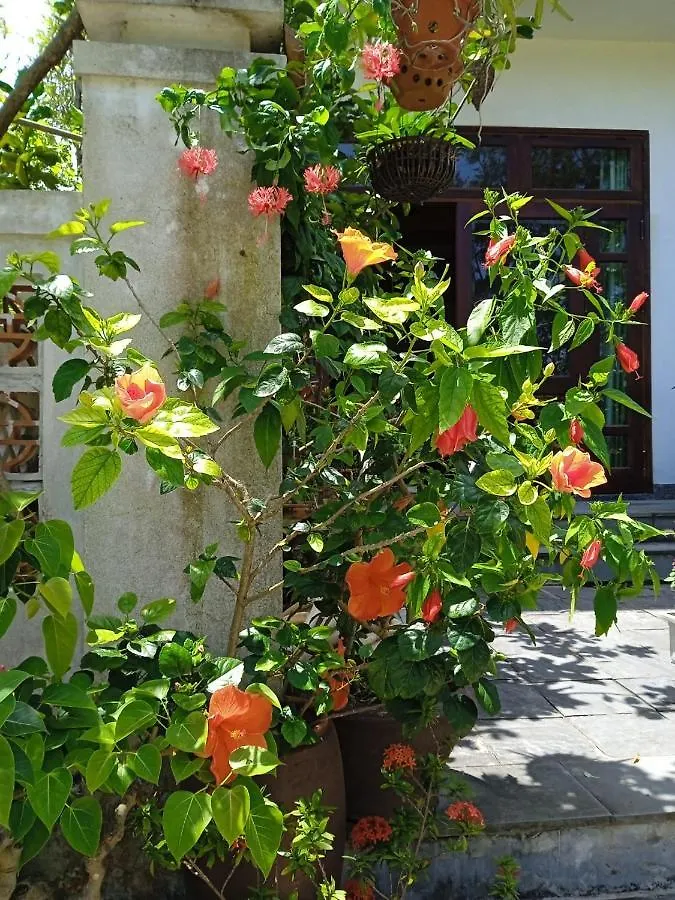 Anbang Morning Glory Beach Homestay 호이안 안방비치 숙소호텔 0*, Hoi An