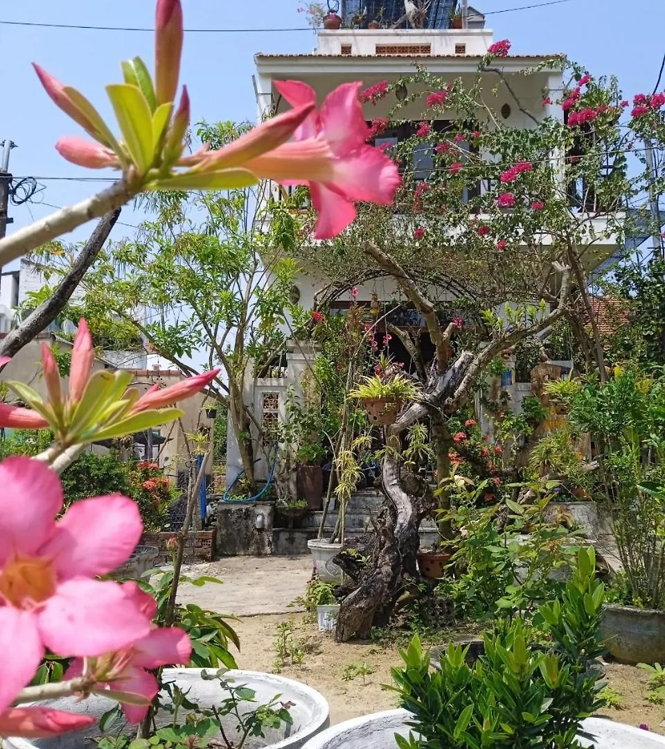 Anbang Morning Glory Beach Homestay 호이안 안방비치 숙소호텔 Hoi An