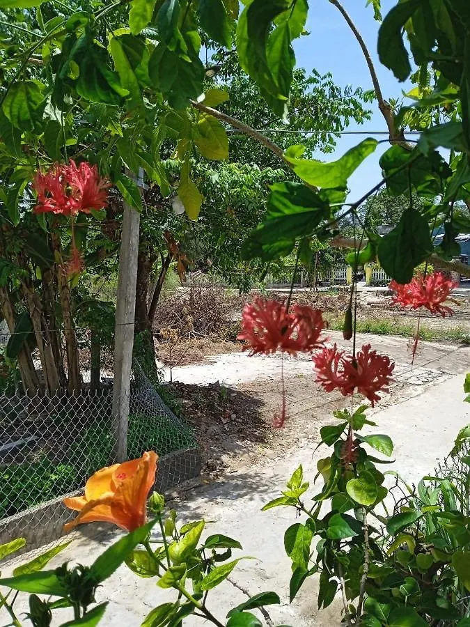 Anbang Morning Glory Beach Homestay 호이안 안방비치 숙소호텔 0*, Hội An Vietnam