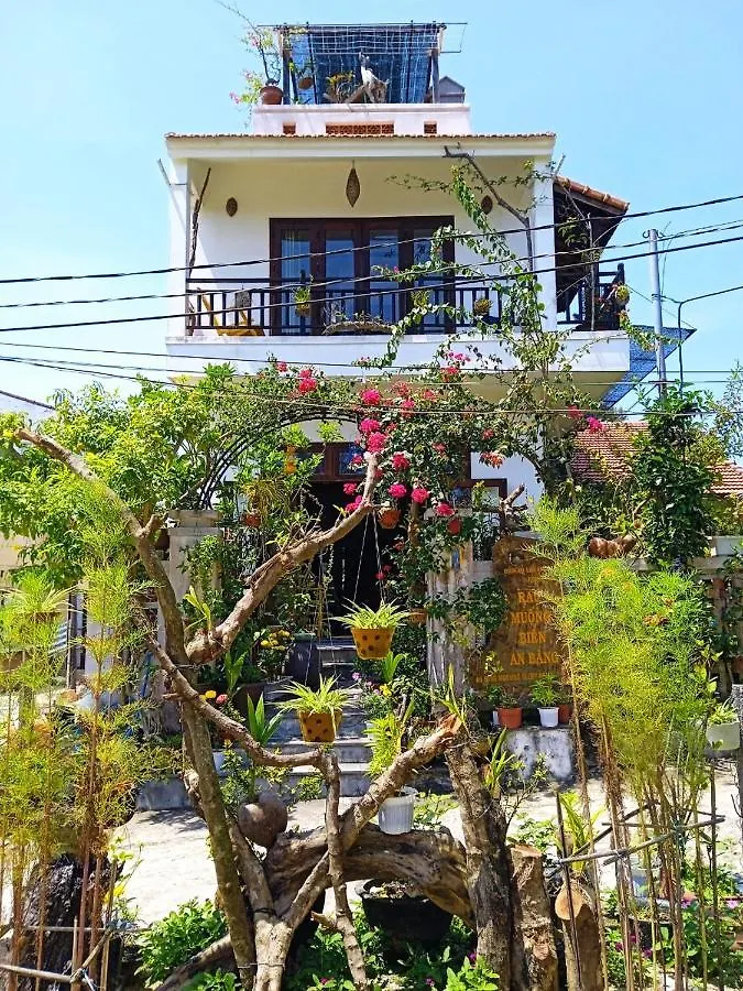 Anbang Morning Glory Beach Homestay 호이안 안방비치 숙소호텔