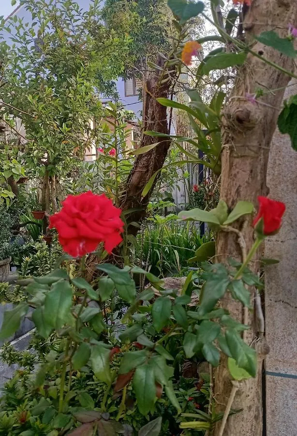 Anbang Morning Glory Beach Homestay 호이안 안방비치 숙소호텔