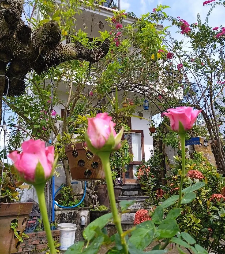 Anbang Morning Glory Beach Homestay 호이안 안방비치 숙소호텔 Vietnam
