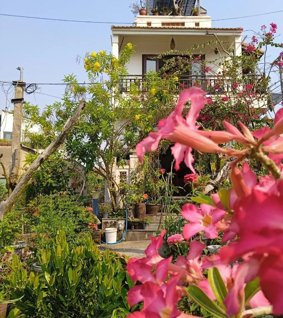 Anbang Morning Glory Beach Homestay 호이안 안방비치 숙소호텔 0*, Hội An Vietnam