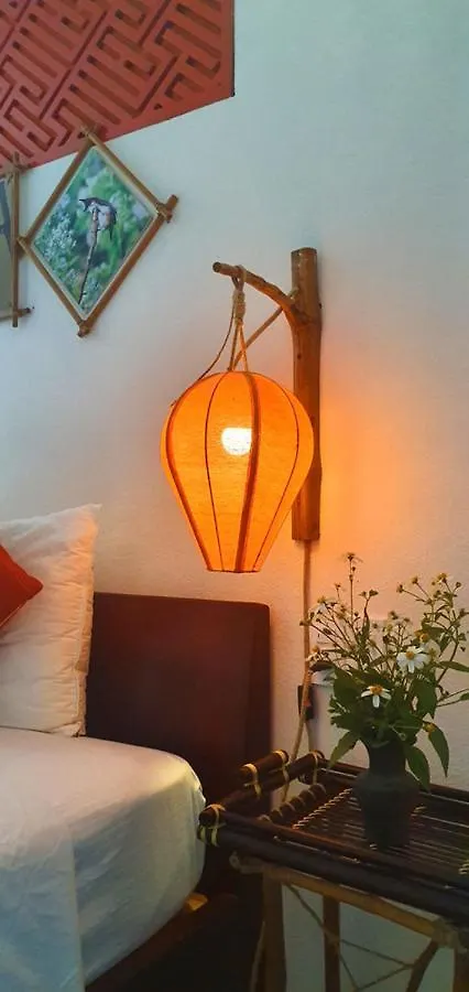Anbang Morning Glory Beach Homestay 호이안 안방비치 숙소호텔